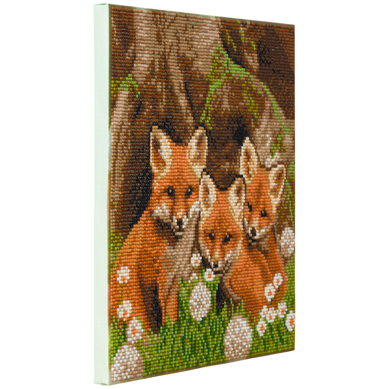 Fox Cubs Crystal Art Kit