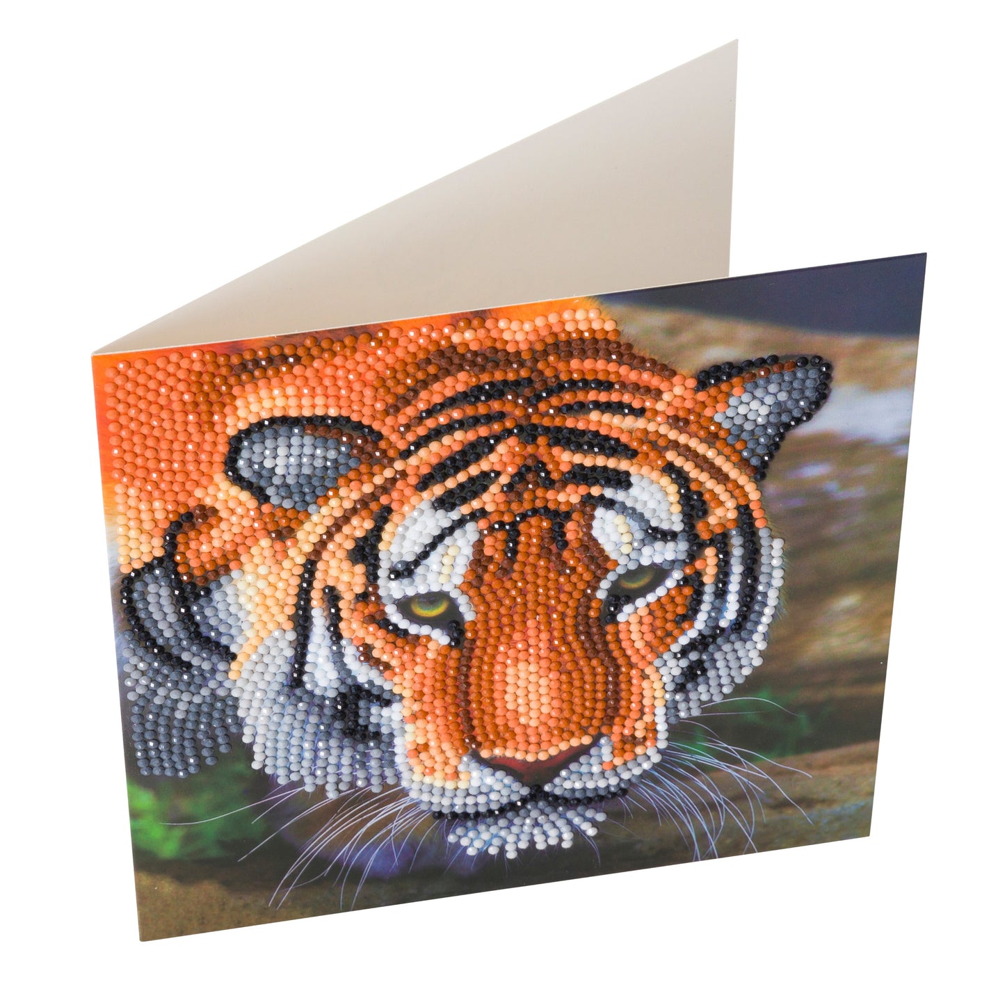 Tiger Face Crystal Art Card