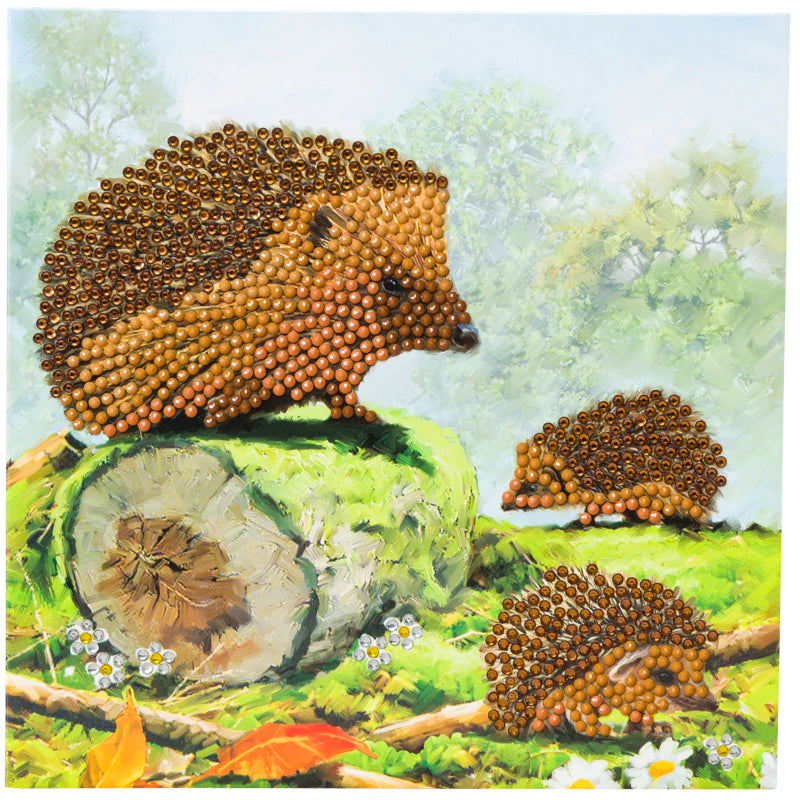 Happy Hedgehog Crystal Art Card