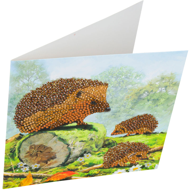 Happy Hedgehog Crystal Art Card